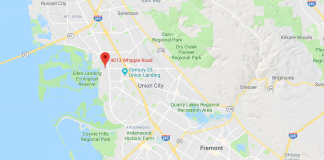 Colliers International, Union City, 7-Eleven, Irving, East Bay, Silicon Valley, Oakland International Airport, Alvarado Business Park, Cushman & Wakefield